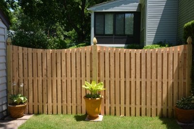 privacy - fence